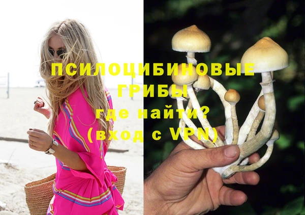 ГАЛЛЮЦИНОГЕННЫЕ ГРИБЫ Зерноград